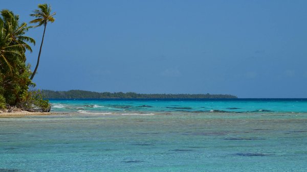 Comment choisir une location de vacances en Nouvelle-Zélande avec des randonnées guidées et des ateliers de photographie de la nature?